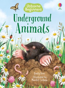 Книги про животных: Underground Animals [Usborne]