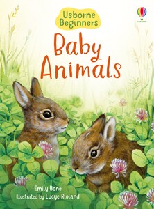 Книги про животных: Baby Animals [Usborne]