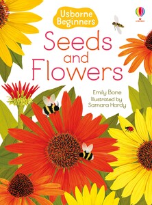 Книги для детей: Seeds and Flowers [Usborne]