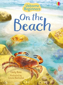 Книги для детей: On the Beach [Usborne]
