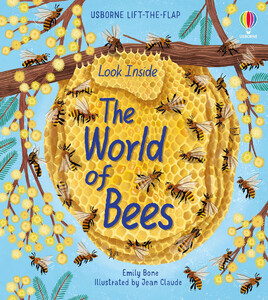 Книги про животных: Look Inside the World of Bees [Usborne]