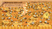 Look Inside the World of Bees [Usborne] дополнительное фото 3.