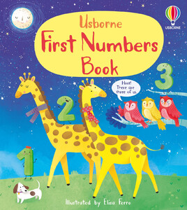 Книги для детей: First Numbers Book [Usborne]