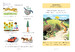 The Hare and the Tortoise (English Readers Starter Level) [Usborne] дополнительное фото 1.