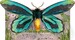Pop-Up Butterflies [Usborne] дополнительное фото 3.