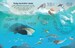 Extreme Planet: Journey Across The Arctic [Usborne] дополнительное фото 3.