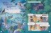 24 Hours in the Jungle [Usborne] дополнительное фото 1.