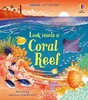 Look inside a Coral Reef [Usborne]