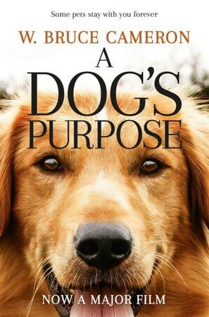 Художні книги: A Dog's Purpose [Pan Macmillan]