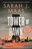 Throne of Glass (Book 6): Tower of Dawn [Bloomsbury]