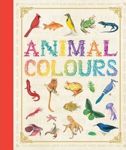Книги для детей: First Concept: Animal Colours