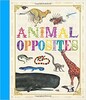 First Concept: Animal Opposites