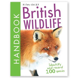 Пізнавальні книги: British Wildlife Handbook