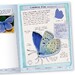 Butterflies and Moths Handbook дополнительное фото 1.