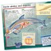 100 Facts Whales and Dolphins дополнительное фото 1.
