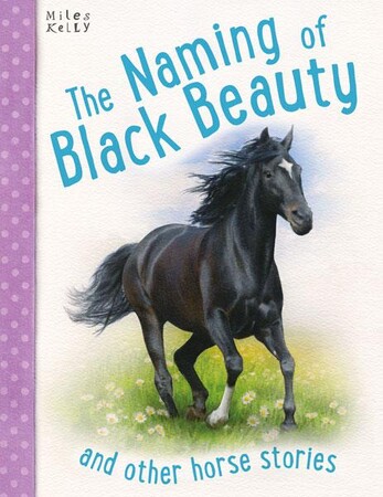 Для среднего школьного возраста: The Naming of Black Beauty