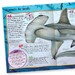 Pocket Edition 100 Facts Sharks дополнительное фото 1.