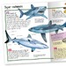 Pocket Edition 100 Facts Sharks дополнительное фото 2.