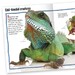 100 Facts Reptiles and Amphibians дополнительное фото 1.