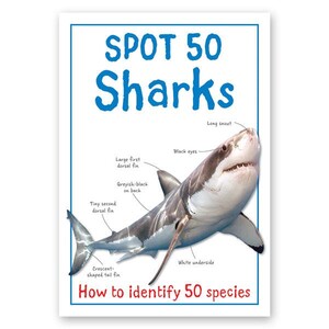 Книги для дітей: Spot 50 Sharks