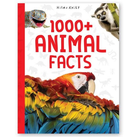 Для середнього шкільного віку: 1000+ Animal Facts