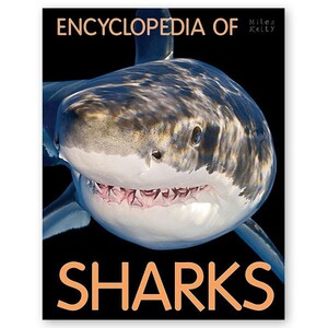 Книги для дітей: Encyclopedia of Sharks
