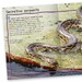 100 Facts Snakes дополнительное фото 1.