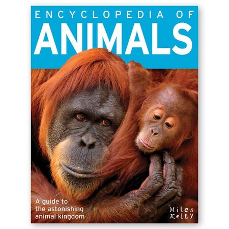 Для середнього шкільного віку: Encyclopedia of Animals