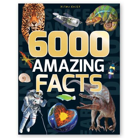 Для среднего школьного возраста: 6000 Amazing Facts- Miles Kelly