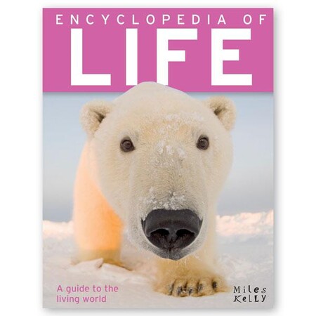 Для среднего школьного возраста: Encyclopedia of Life- Miles Kelly