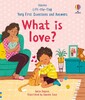 Very First Questions & Answers: What is love? [Usborne]