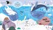 My First Lift-the-flap Look and Find Animals [Usborne] дополнительное фото 3.