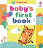 Baby's First Book [Usborne]