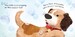 There There Little Puppy [Usborne] дополнительное фото 1.