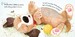 There There Little Puppy [Usborne] дополнительное фото 3.