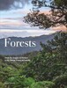 Forests [Amber Books]