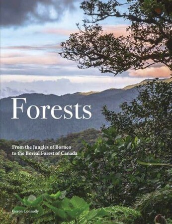 Фауна, флора і садівництво: Forests [Amber Books]