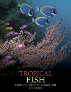 Фауна, флора и садоводство: Tropical Fish [Amber Books]