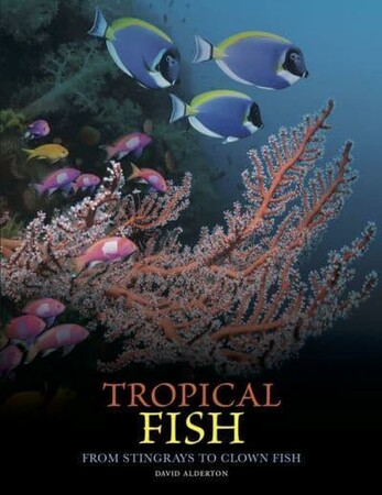 Фауна, флора і садівництво: Tropical Fish [Amber Books]