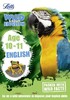 Age 10-11 English - Wild About English