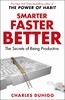 Smarter Faster Better: The Secrets of Being Productive (9781847947437)