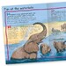 100 Facts Elephants дополнительное фото 2.