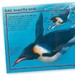 100 Facts Penguins дополнительное фото 1.