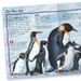 100 Facts Penguins дополнительное фото 2.