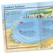 Pocket Edition 100 Facts Seashore дополнительное фото 1.