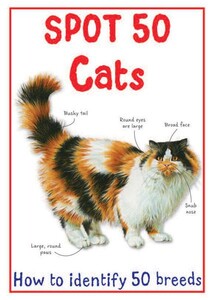 Книги про животных: Spot 50 Cats- Miles Kelly