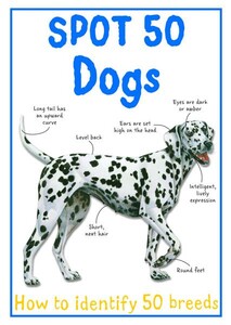 Книги для дітей: Spot 50 Dogs