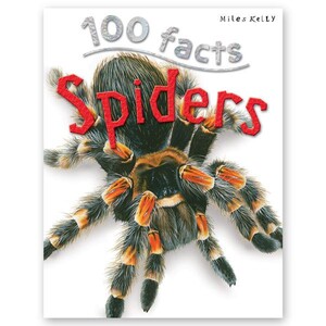 Пізнавальні книги: 100 Facts Spiders