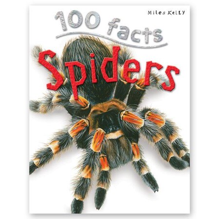 Для молодшого шкільного віку: 100 Facts Spiders