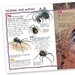 100 Facts Spiders дополнительное фото 2.